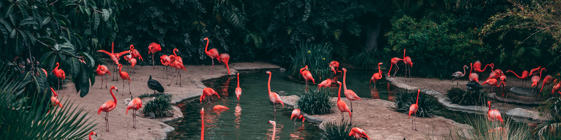 山西君湘国际旅行社有限公司驻马店第二网点 